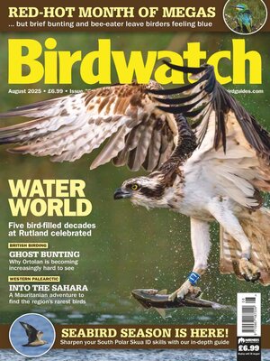 cover image of Birdwatch